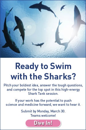 swim with the sharks Photo of sharks: