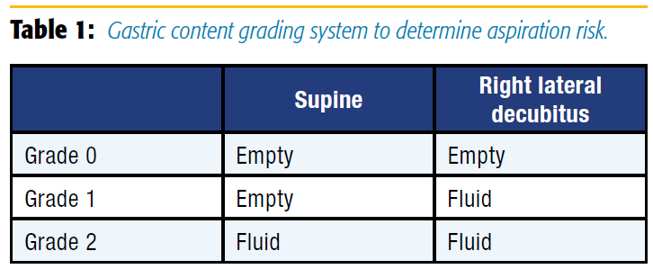 Table 1. Gastric content grading system