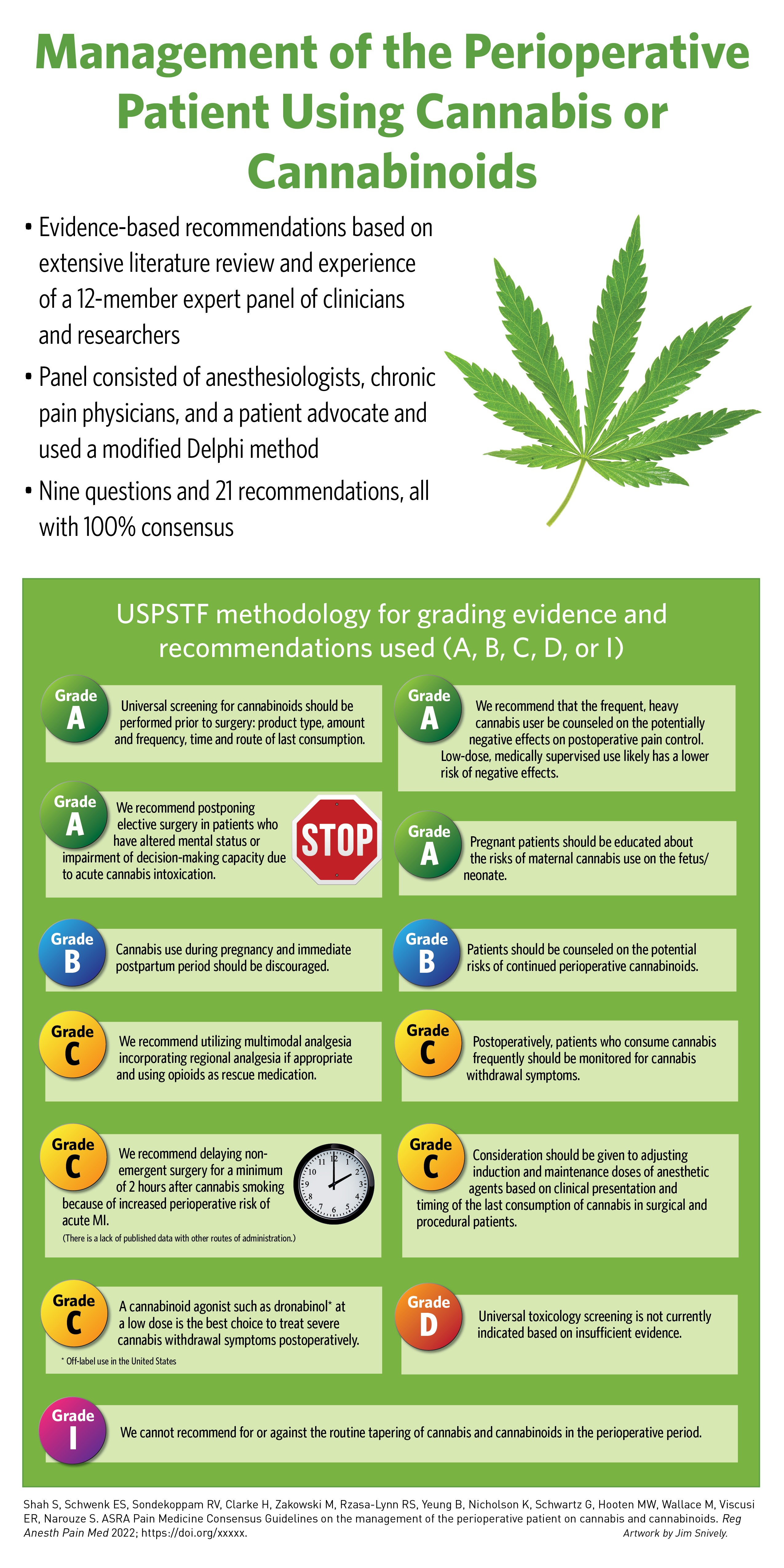 Infographic summarizing the 2023 recommendations for patients with pain using cannabis