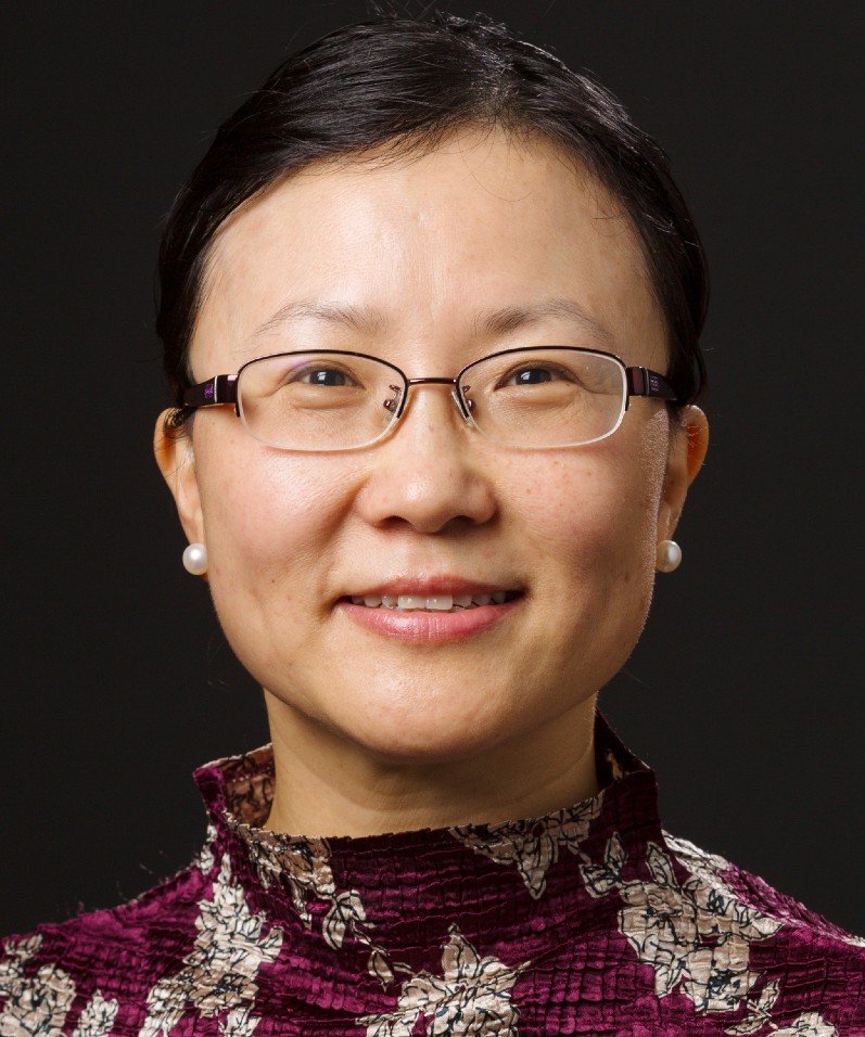 Dr. Jinlei Li