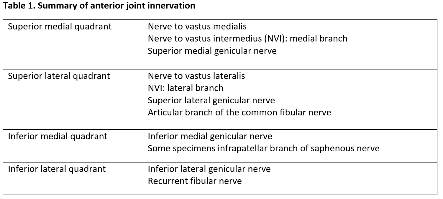 Table 1. Summary of anterior joint innervation