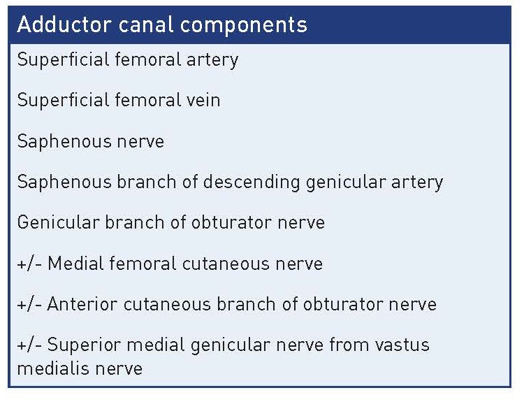 Adductor canal components